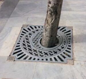 Alcorque excéntrico